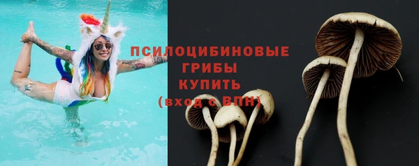 первитин Заволжье