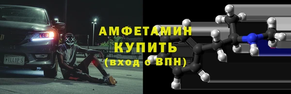крисы Ельня