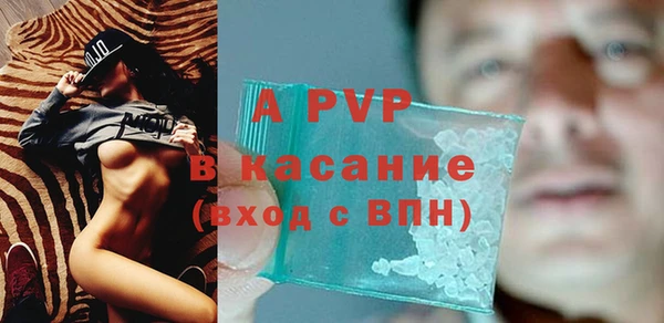 эйфоретик Елизово