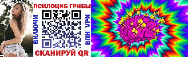 darknet клад  Карпинск  Галлюциногенные грибы Magic Shrooms  где купить наркоту 