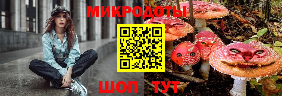 Галлюциногенные грибы GOLDEN TEACHER Карпинск