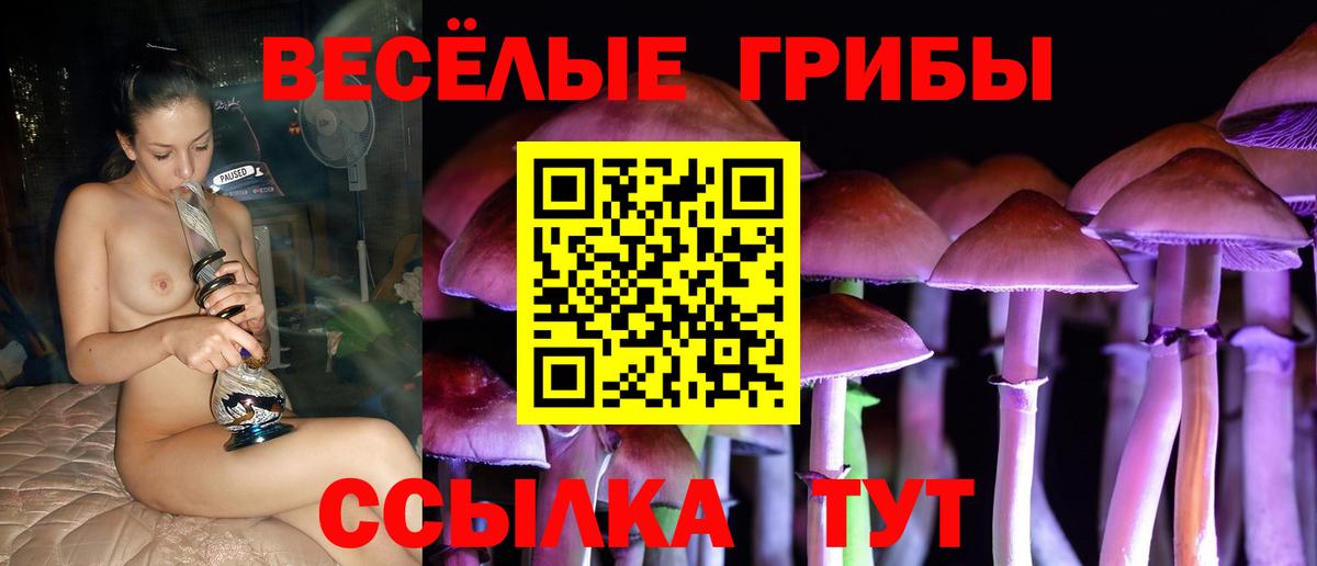 Галлюциногенные грибы Psilocybine cubensis  Псилоцибиновые грибы мицелий  Карпинск  Вход с VPN 
